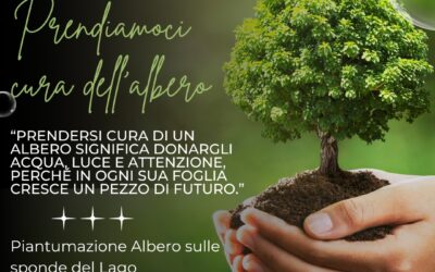 Prendiamoci cura dell’albero
